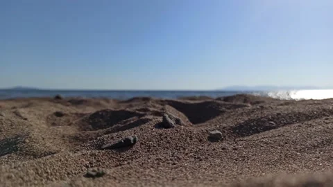 AYVALIK / Dikili Stock Footage 137796819