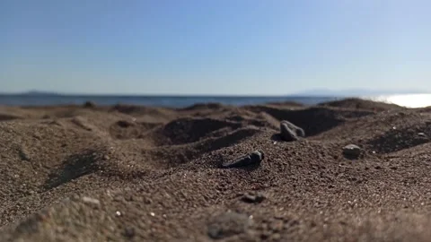 AYVALIK / Dikili Stock Footage 137809302