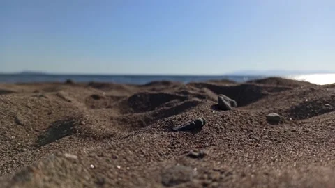 AYVALIK / Dikili Stock Footage 137809378