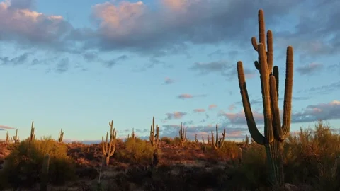 AZ Desert Landscape Sunset Time-Lapse Footage Stock Footage 344699976