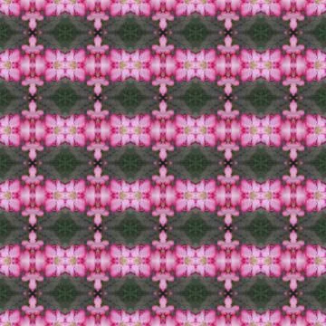 Azalea flower abstract background Stock Illustration