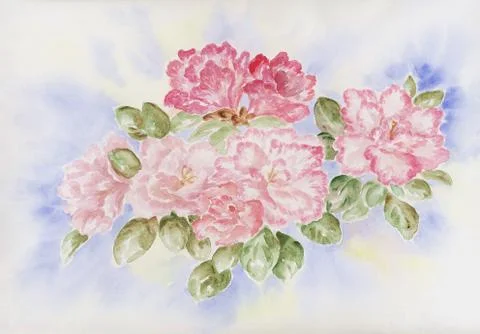 Azalea flowers Stock Illustration