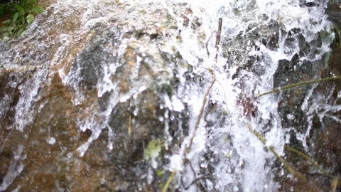 Azalea flowers in stream Stock Footage 90487703