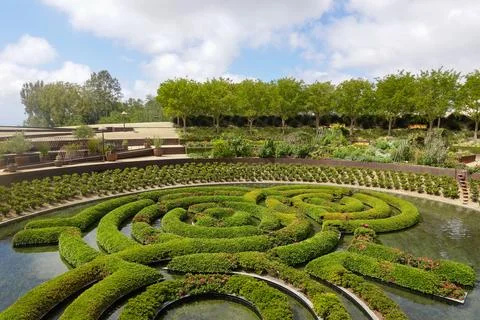 Azalea Maze with Reflecting Clouds Stock Photos