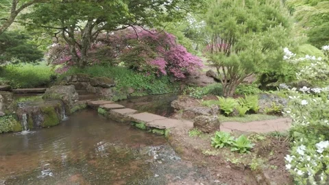 Azalea pond, Forest of Dean, Gloucestershire. Stockbeeldmateriaal 326676653