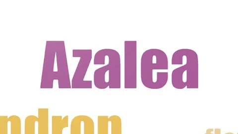 Azalea Tag Cloud Animated Isolated Stock Footage 103094021