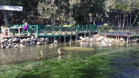 Azmak Creek in Akyaka Stock Footage 233530954