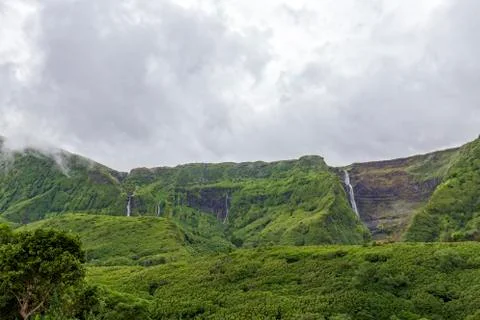 Azorean delight Stock Photos