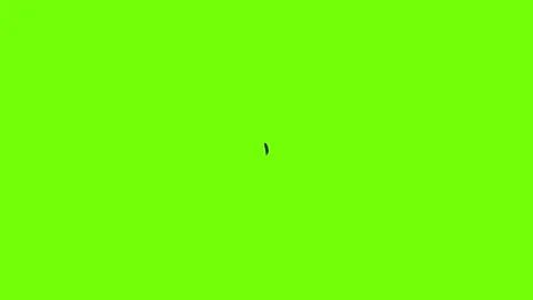 Aztec feather icon animation Vidéo 158333189