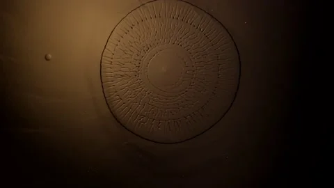 An Aztecan shield crafted of gold loses detail over time -  an all natural Stock Footage 156944518