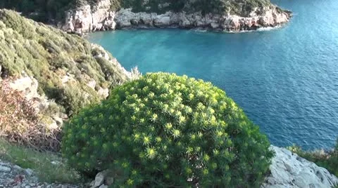 Azure bay top view Stock Footage 10738823