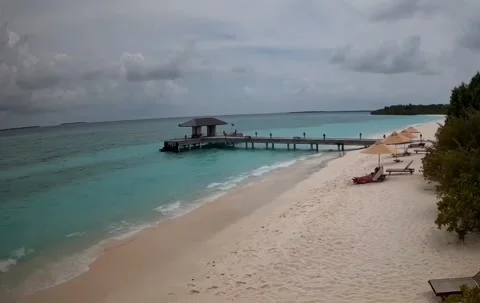 Azure Beach Stock Footage 317281080