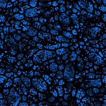 Azure blue cosmic cells. Vector illustration seamless pattern background Stock Illustration