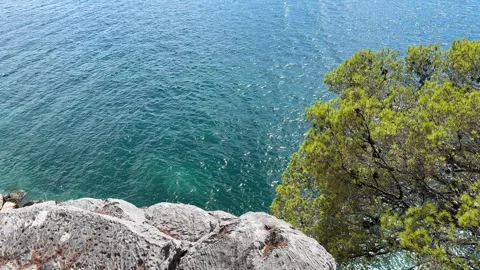 Azure depths: A vibrant pine tree clings to a rugged cliff edge, overlooking the Stock Footage 316068784