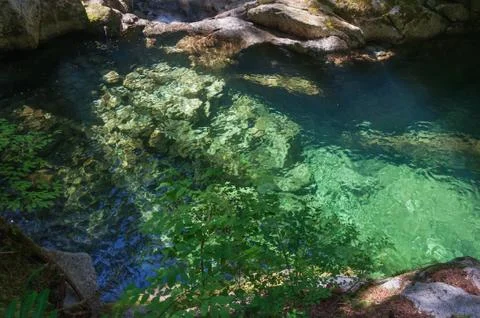 Azure lagoon in the forest 2 Stock Photos