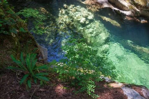 Azure lagoon in the forest Stock Photos