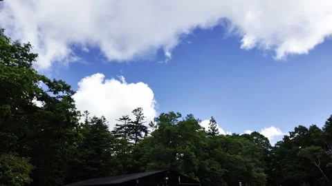 Azure Sky and Large White Clouds Stock Footage 321052491
