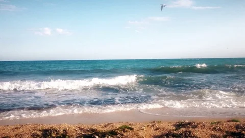 Azure surf on the sandy beach of the Mediterranean sea Stock Footage 92178551