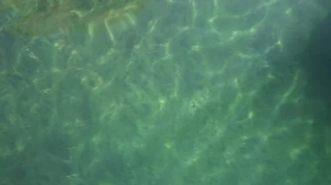 Azure water surface of the lake Stock Footage 49175356
