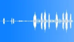 AzureWinged Magpie McCu Calls Sound Effect