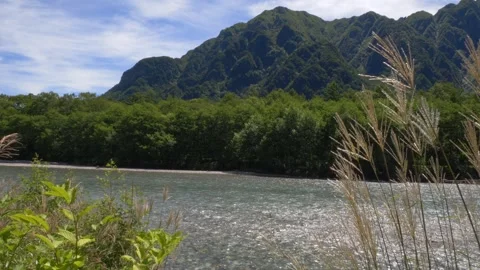 Azusa River With Forested Mountain In The Background in Kamikochi, Matsumoto Stock Footage 337390426