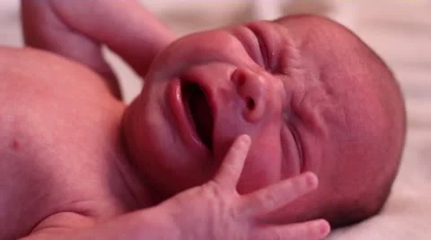 B Baby 013 库存影片 12389615
