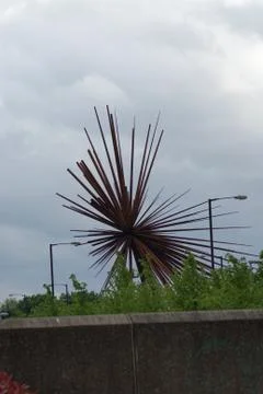 B of the Bang Stock Photos