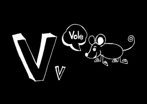 A b c d e f g h i j k l m n o p q r s t u v w x y z cartoon text font Hand dr Illustrazione stock