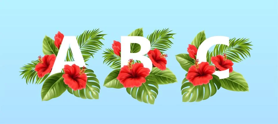 A B C letters surrounded by summer tropical leaves and red hibiscus flowers Stock Illustration