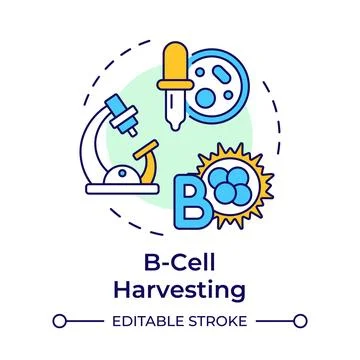 B-cell harvesting multi color concept icon Illustrazione stock