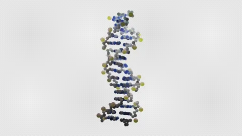 B-DNA - DNA Helix 스톡 동영상 145883825