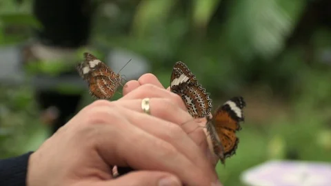 B on Hand 動画素材 112296276