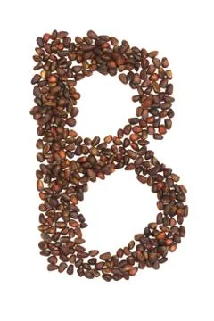 B letter made of cedar  nuts Stock Photos