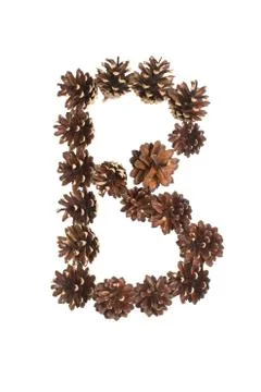 B letter made of pine cone Stock Photos