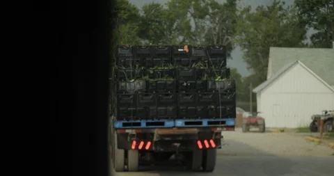 B-Roll 041416 Clip 00129 794D0250 Stock Footage 88861453