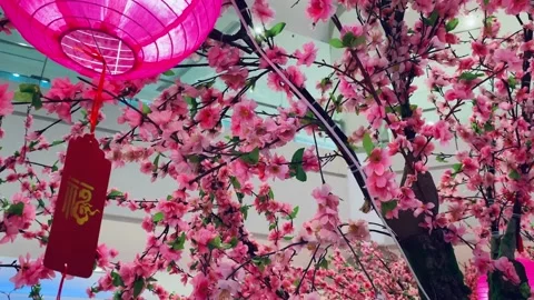B - Roll clips of Chinese New Year decorations sakura flowers Stock Footage 150207690
