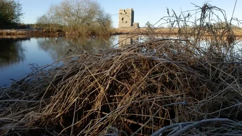 B-Roll of dead and frozen reeds, with a historic Scottish castle Stock Footage 148266053