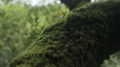 B-Roll from man hiking to fly his drone Stock Footage 243388809