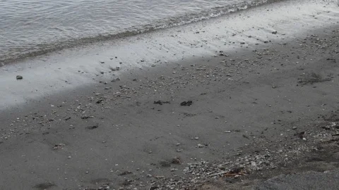 B-Roll of sea beach. Видео 106576855