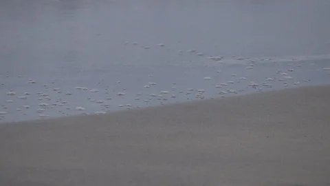 B-Roll of the sea beach. Stock Footage 106761074