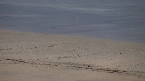 B-Roll of the sea beach Stock Footage 107092127