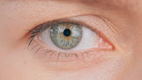 B roll sight upper part face female Stock Footage 164639449