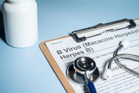 B Virus is the Simplexvirus infecting macaque monkeys. Stock Photos