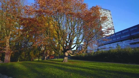 B07 park Stock Footage 231048749