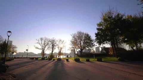 B08 park Stock Footage 231049990