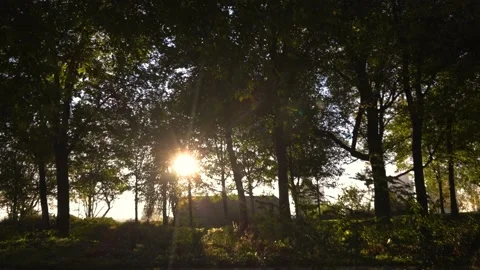 B10 park Stock Footage 231049795