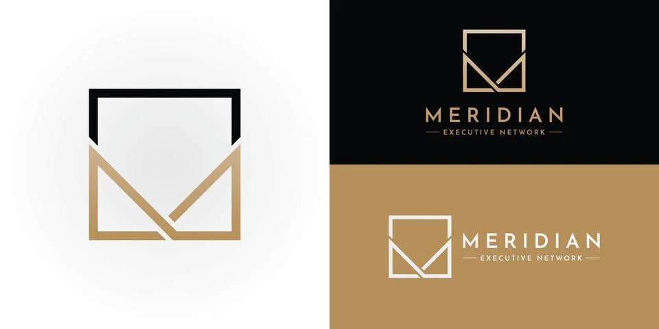 B2B Executive Media &amp; Community Platform Logo Stock Illustration