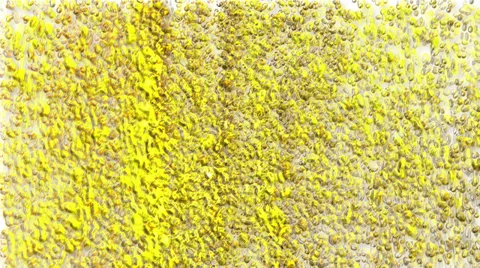 B3 Vitamin Vídeos de archivo 32785894