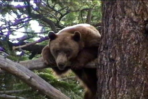 B34 Stock Footage 657686