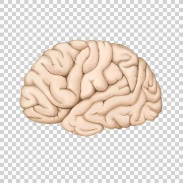 B401 Stock Illustration